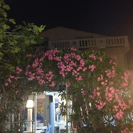 בית הארחה Anita